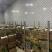 西瓜红