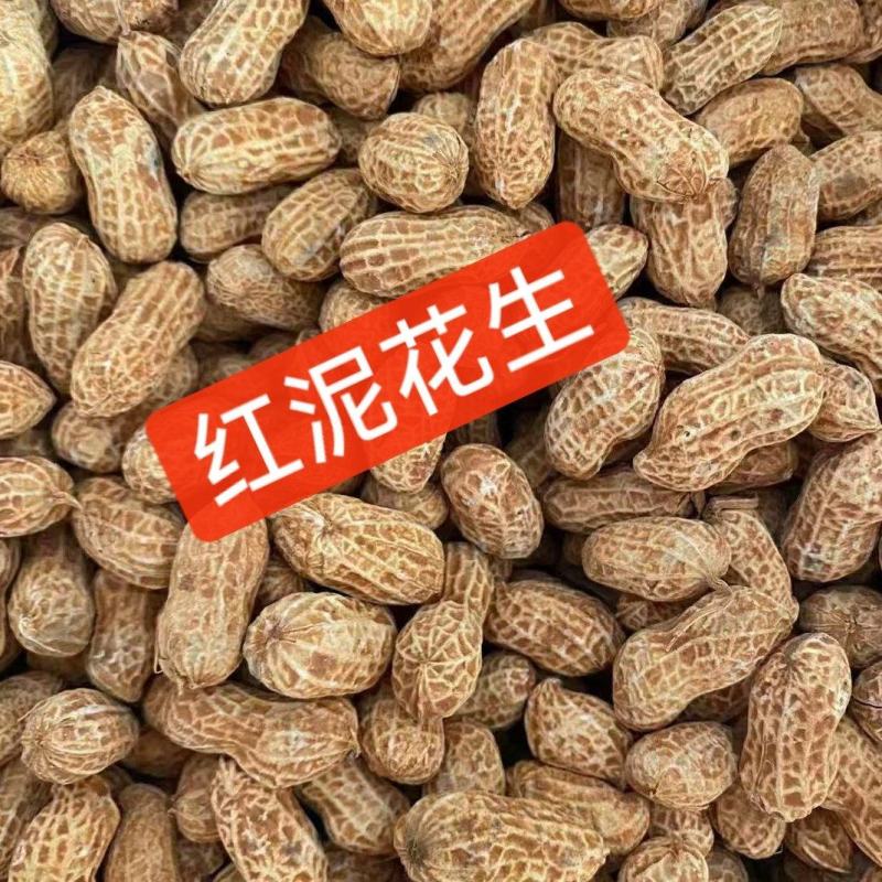 忠信红泥花生河源红泥花生客家红泥花生香脆红泥花生