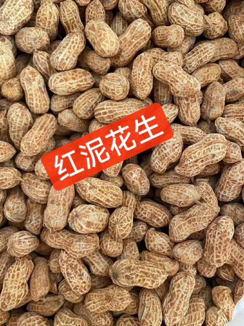 忠信红泥花生河源红泥花生客家红泥花生香脆红泥花生