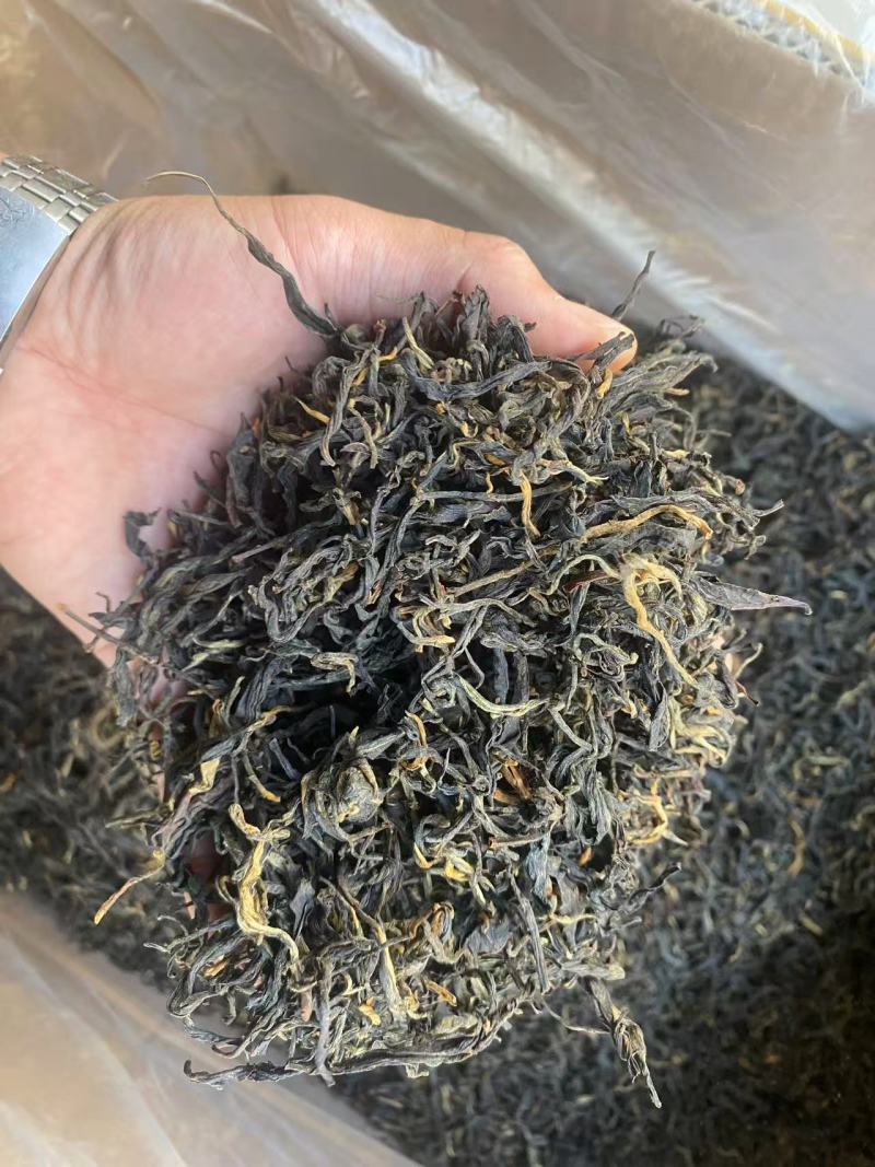 大叶种古树红茶毛峰/云南昆明统一配发/对接全国采购商