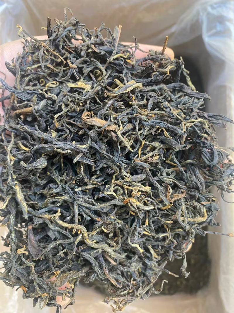 大叶种古树红茶毛峰/云南昆明统一配发/对接全国采购商