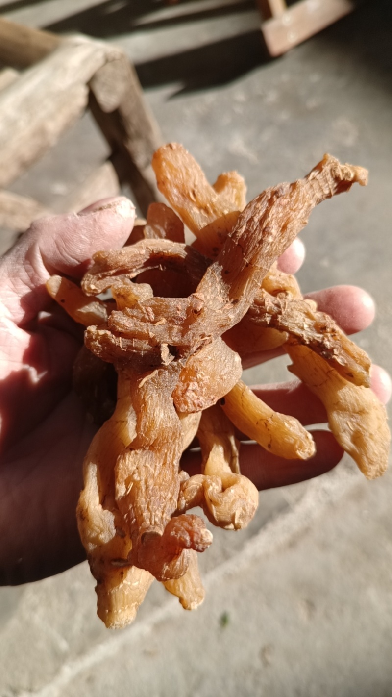 鸡头黄精干货野生黄精蒸晒滋补中药材泡酒褒汤