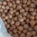 【甄选品质】当季新果夏威夷果奶香味个大饱满环形大开口