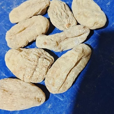 天麻供应(量大价优)规格齐全保质保量,可视频看货