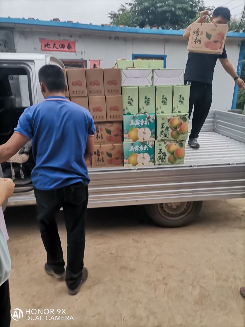 库存玉露香梨出售