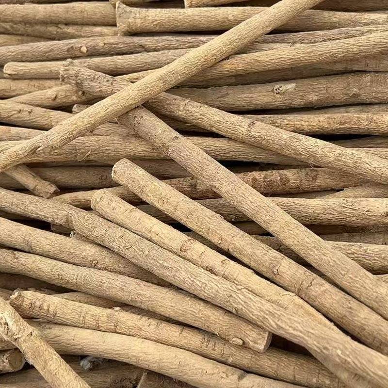 黄芪条品质保证价格美丽甘肃岷县产地直销批发