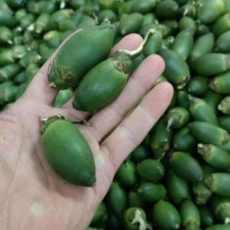 海南精品青槟榔，一手货源，全国发货，可一件代发，量大从优