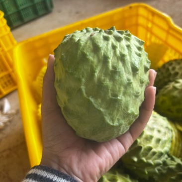 释迦果新鲜牛奶凤梨释迦水果新鲜当季进口番荔枝释迦
