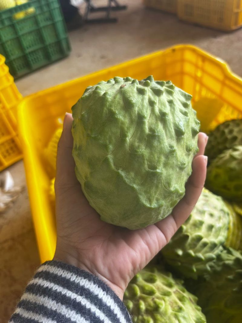 释迦果新鲜牛奶凤梨释迦水果新鲜当季进口番荔枝释迦