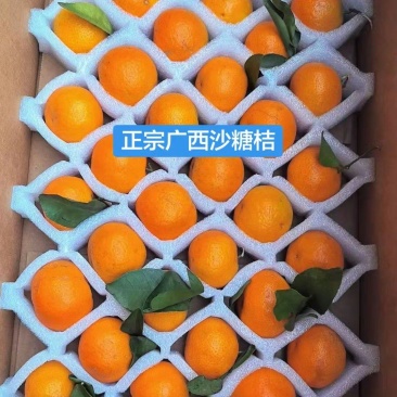 广西沙糖桔电商一件代发，产地直发，落地配社区团购欢迎对接
