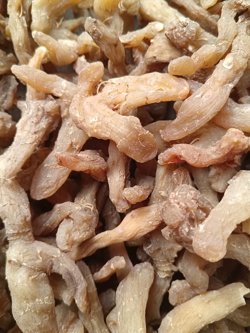 黄精片蒸晒个子熟片鸡头黄精片大中小片精选过筛