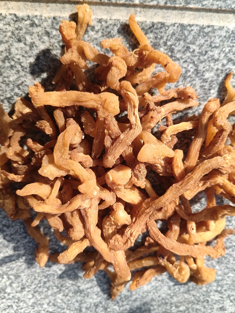 黄精片蒸晒个子熟片鸡头黄精片大中小片精选过筛