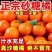 广西砂糖橘，对接电商各大平台，社区团购，一件代发