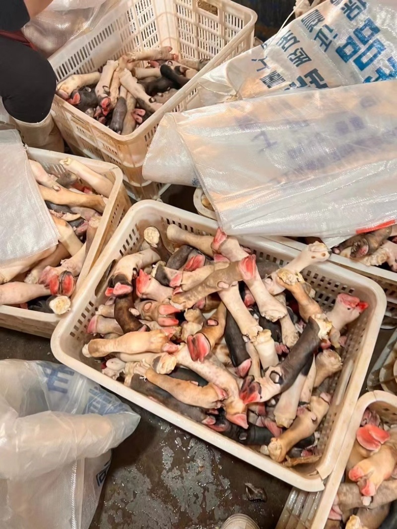 花羊蹄花蹄不抽筋去毛去壳可用于卤炖烤工厂发货