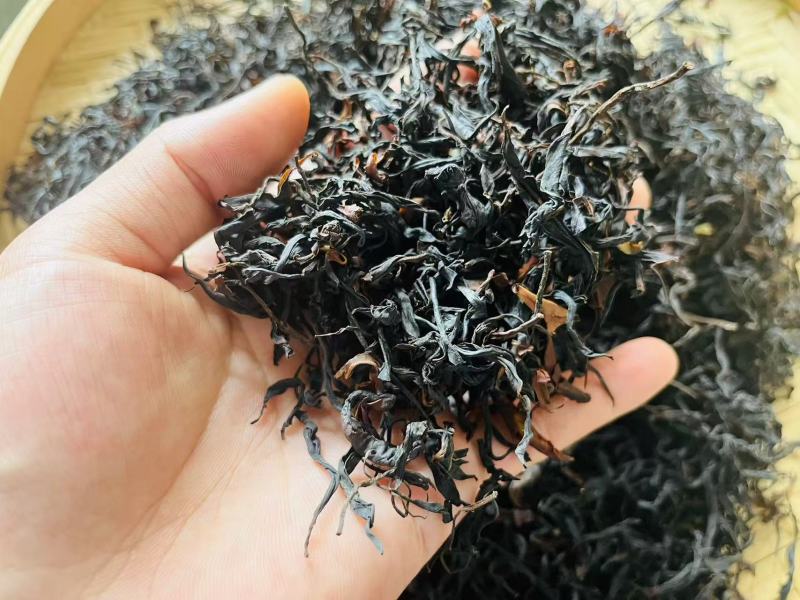昌宁头春野生古树红茶
