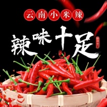 小米椒，产地云南，产地直发，全国发货，量大可议价