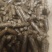 纯松木颗粒***拆迁料