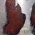 【卤味】(梅肉)半肥瘦叉烧，加热可以吃