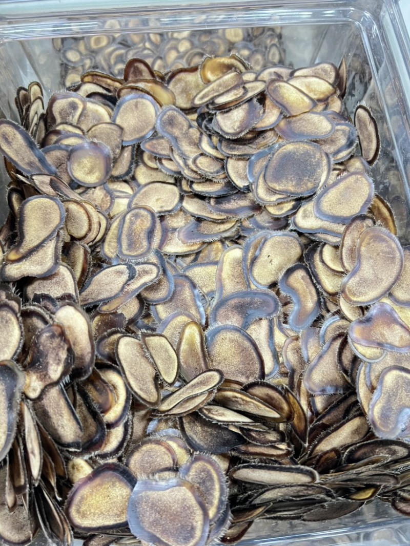 梅花鹿鹿茸半腊片，经济实惠，煲汤，泡酒，泡茶