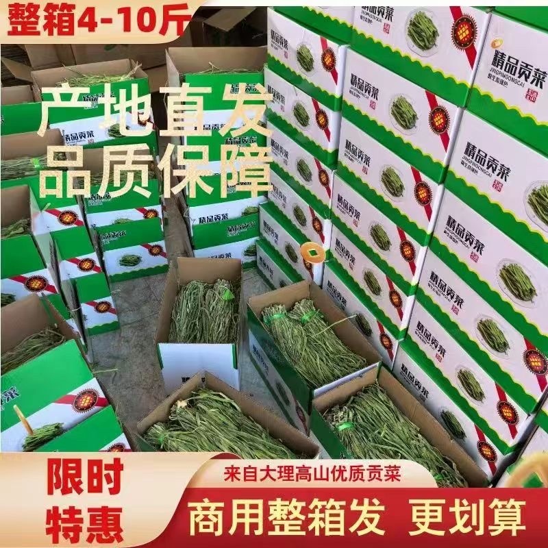 云南贡菜干***无色素0脂肪正宗新鲜农家自晒