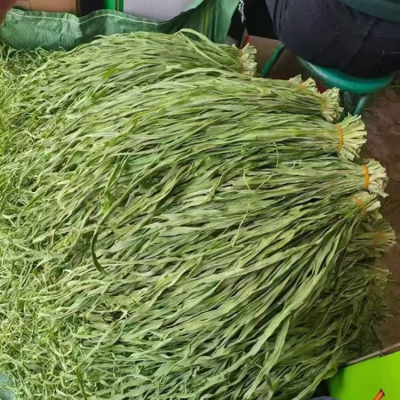 云南贡菜干***无色素0脂肪正宗新鲜农家自晒