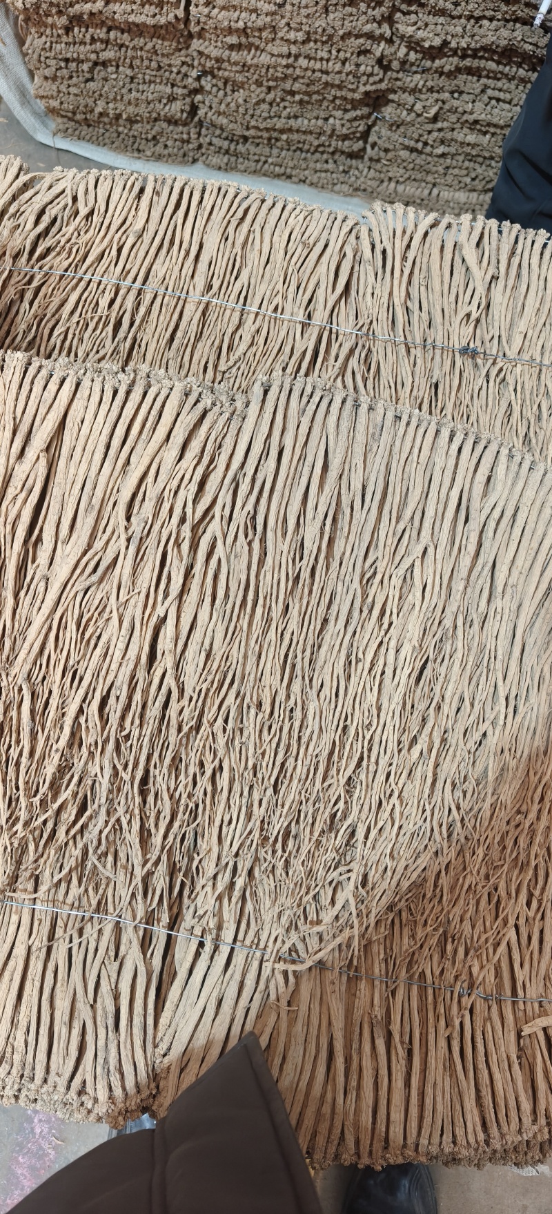 甘肃小条党参，白小条