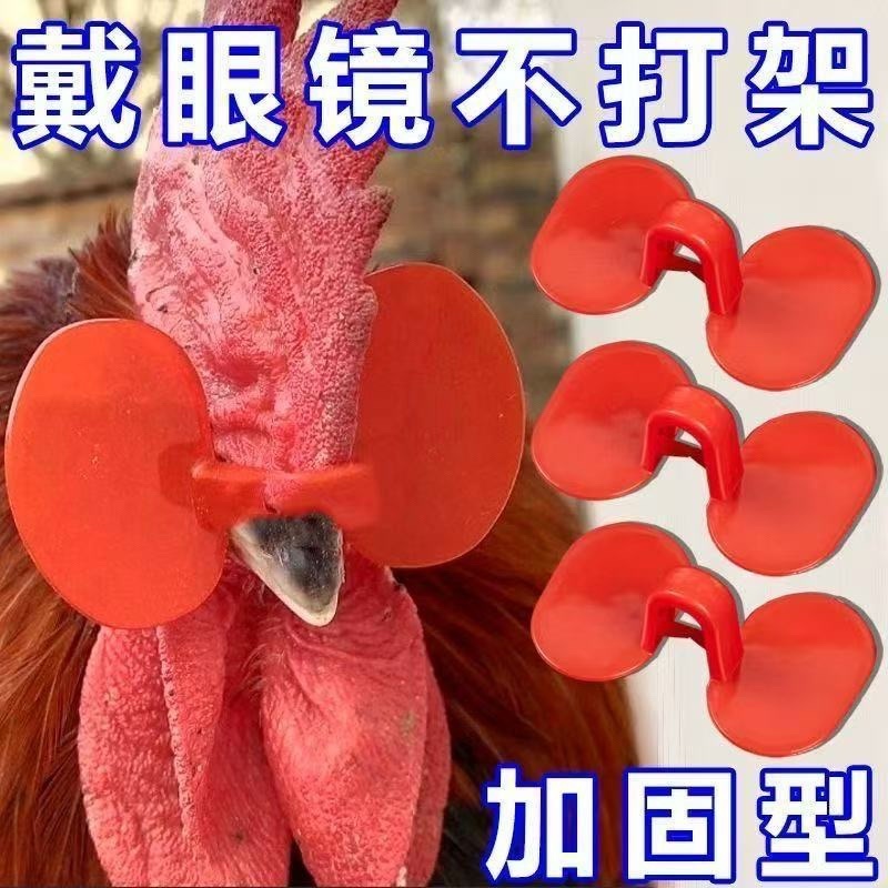 鸡眼镜养殖无栓方便防打架防啄毛防啄肛大公鸡卡式鸡戴