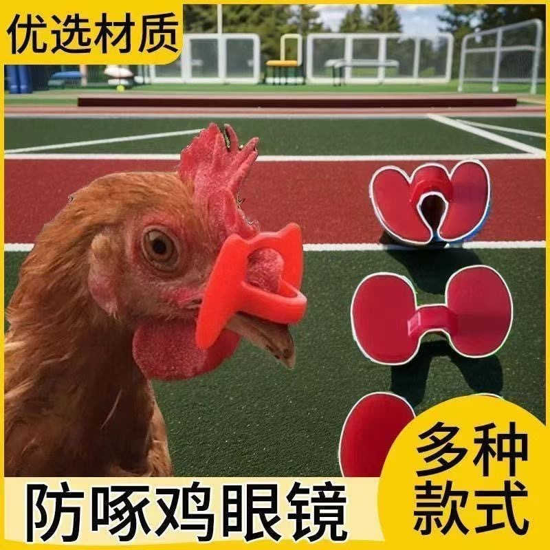 鸡眼镜养殖无栓方便防打架防啄毛防啄肛大公鸡卡式鸡戴