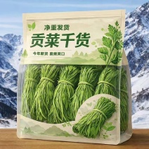 云南贡菜干品质保证接受预定价格合理对接电商