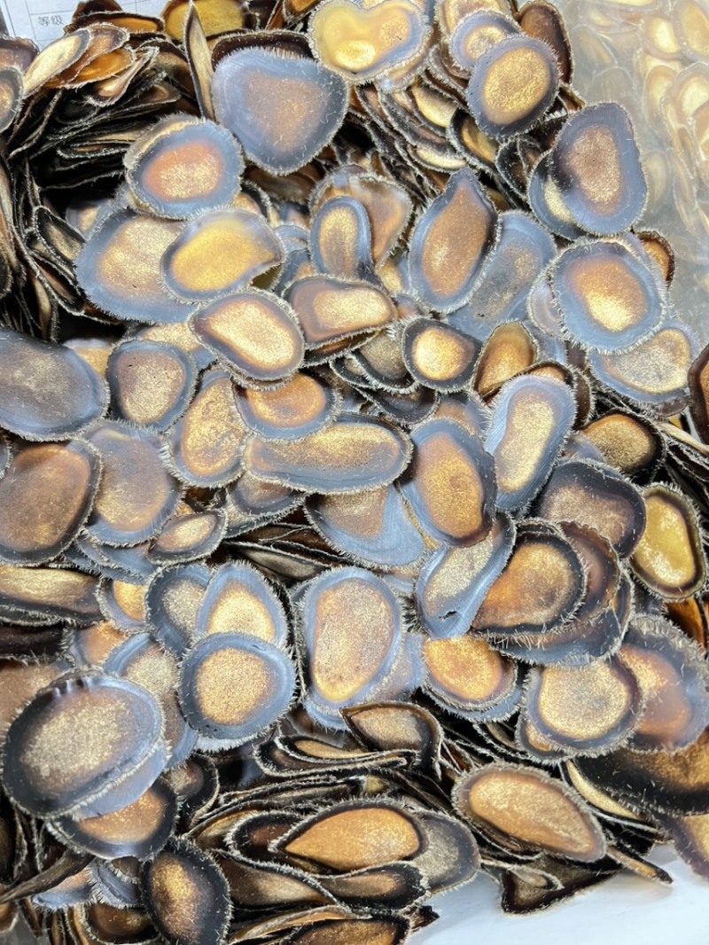半腊片含血50克经济实惠款，泡酒，煲汤，煮茶