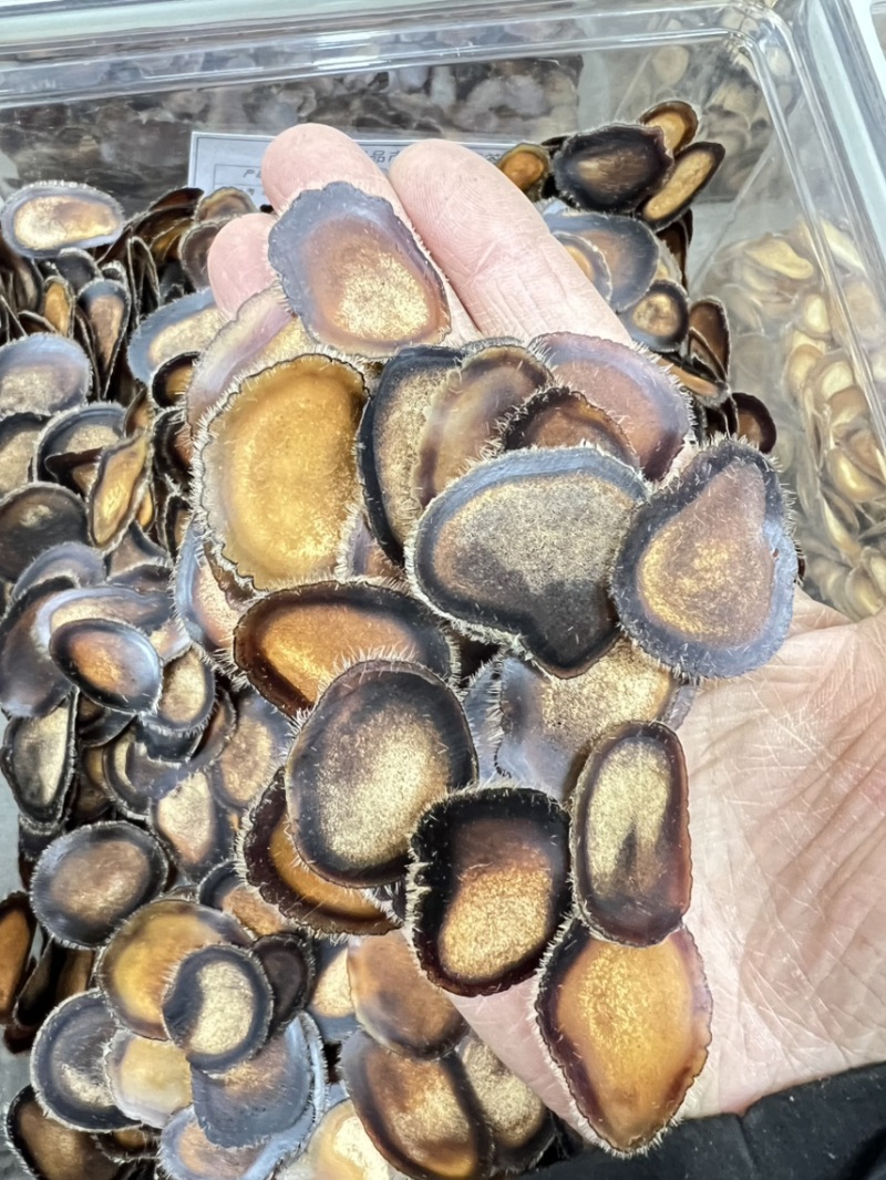 半腊片含血50克经济实惠款，泡酒，煲汤，煮茶