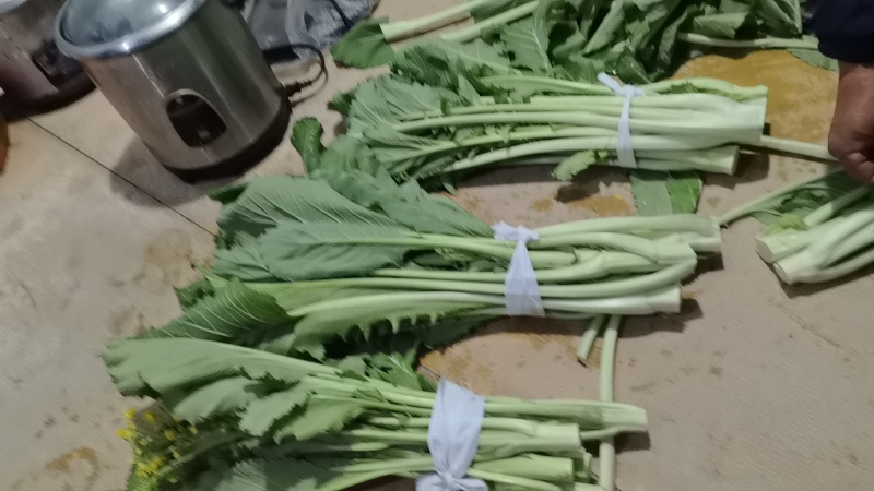 迟菜心欢迎预订