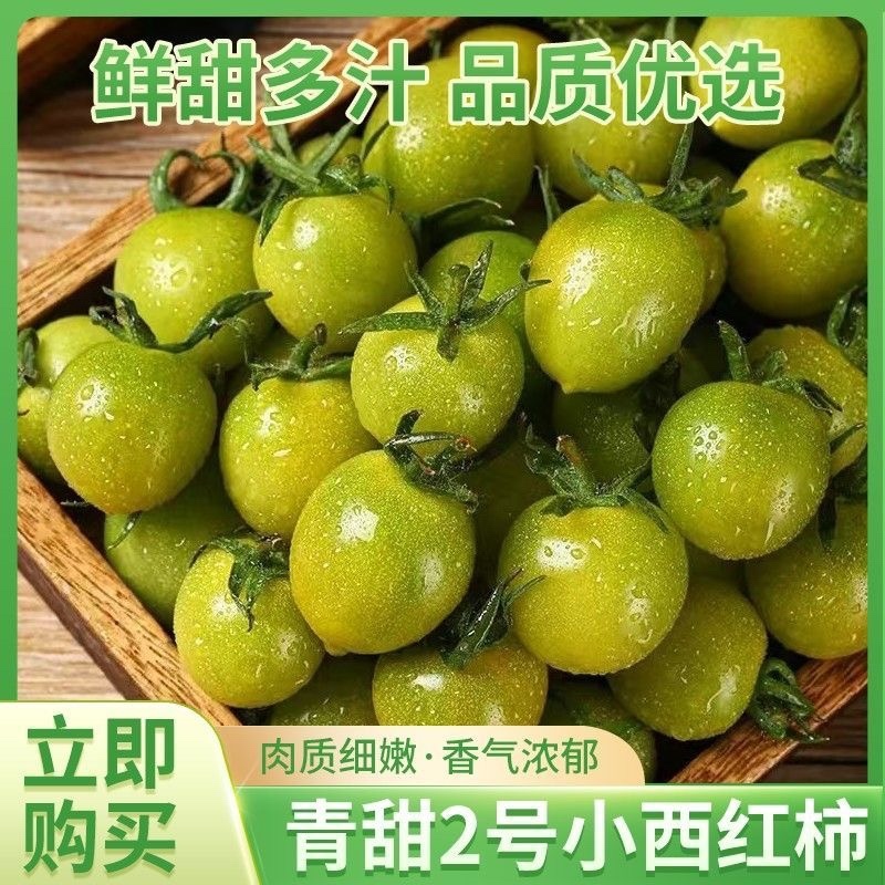 【寿光青甜】新鲜青甜2号绿色小番茄圣女果产地直出农家种植