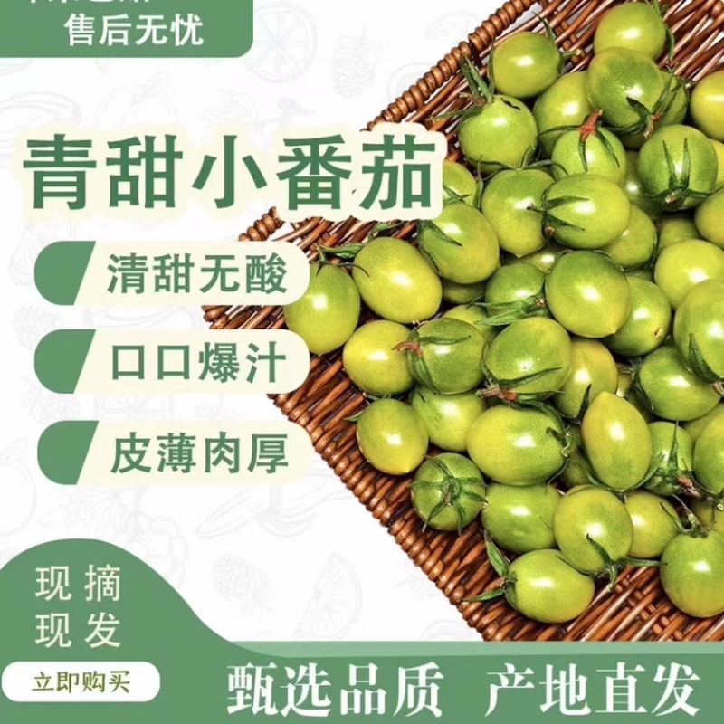 【寿光青甜】新鲜青甜2号绿色小番茄圣女果产地直出农家种植