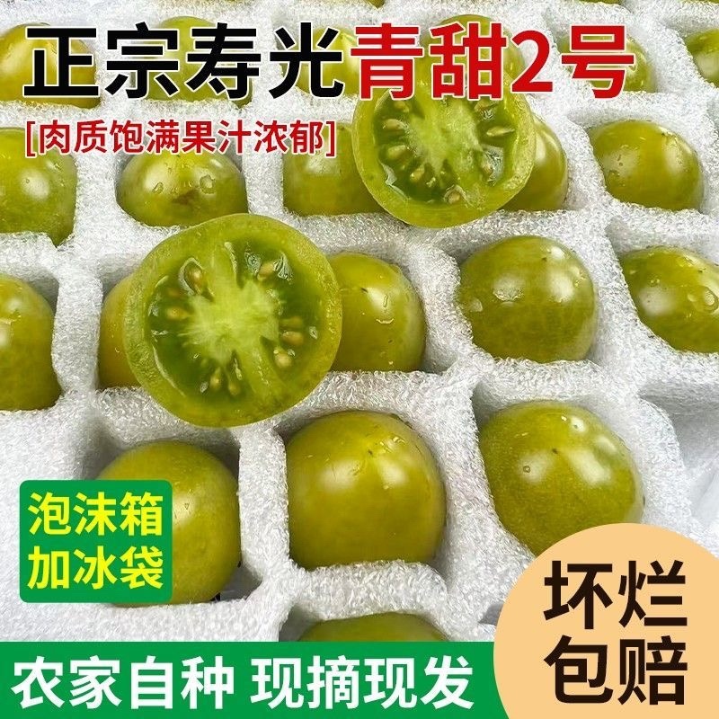 【寿光青甜】新鲜青甜2号绿色小番茄圣女果产地直出农家种植