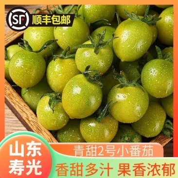 【寿光青甜】新鲜青甜2号绿色小番茄圣女果产地直出农家种植