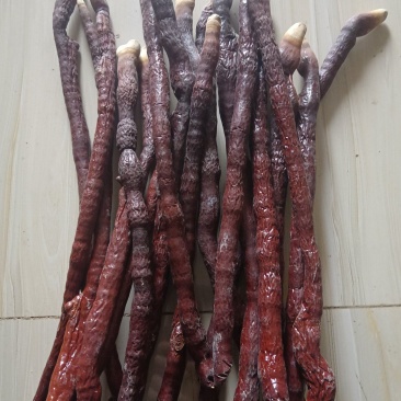 鹿角灵芝，一手货源，低价处理