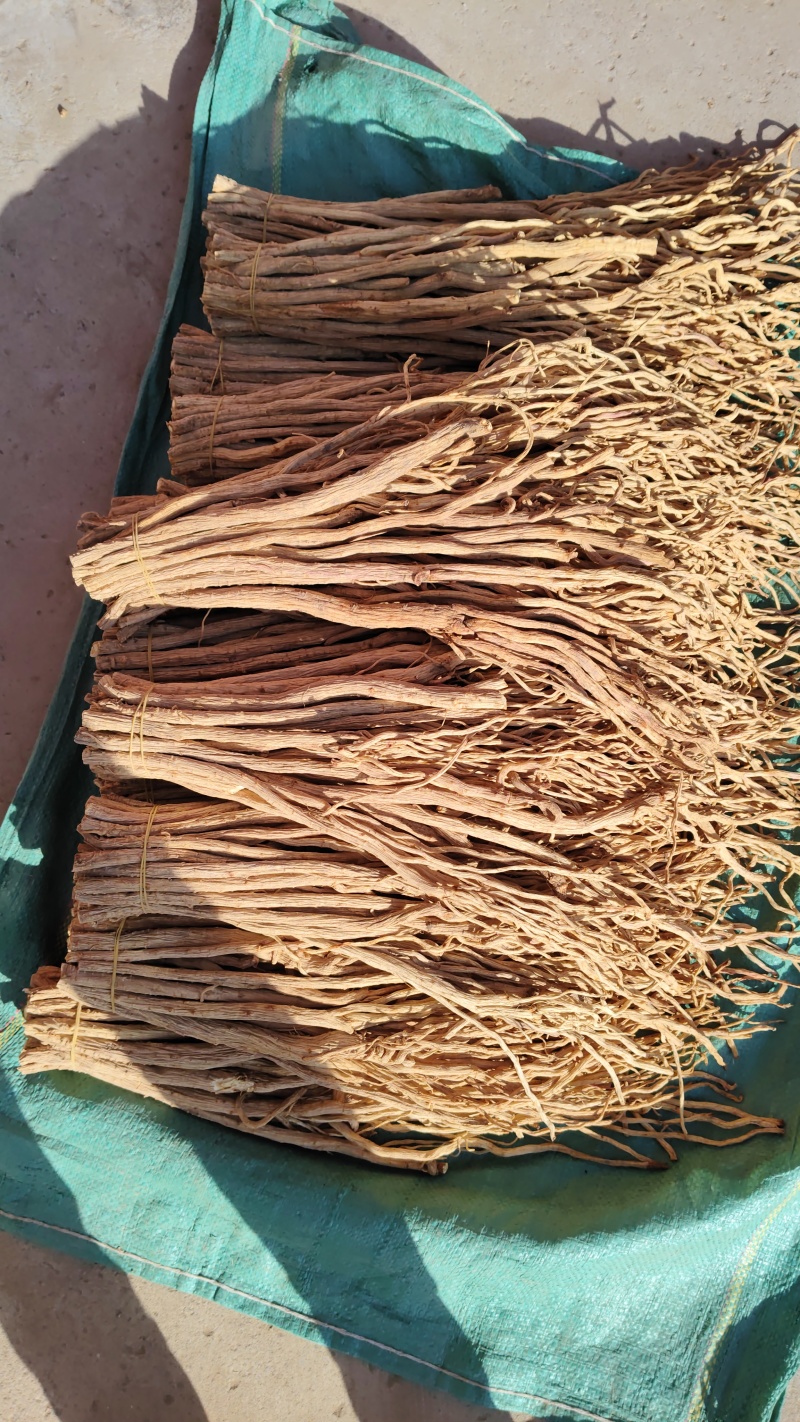 甘肃陇西特产药材。关防风去头货