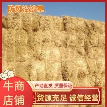 防风治沙草，大量现货，保质保量，欢迎咨询