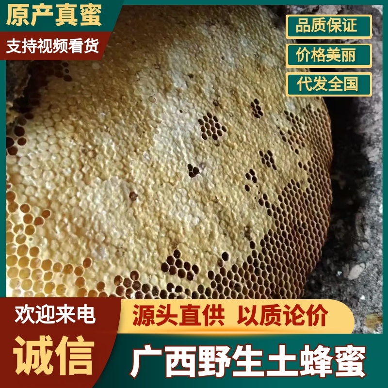 【热卖】广西野生蜂蜜土蜂蜜品质上乘全国可发欢迎电联