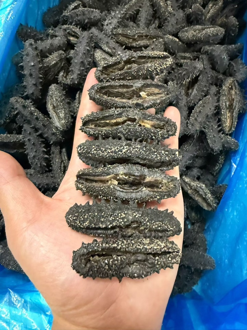 大连辽参国标开口辽参干品海参泡发率10倍刺长厚肉滋补品