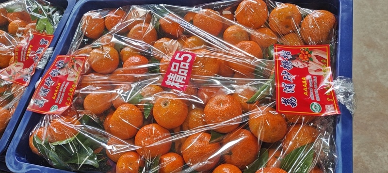 广西荔浦沙糖桔大吨位供应各大市场电商平台社区团购