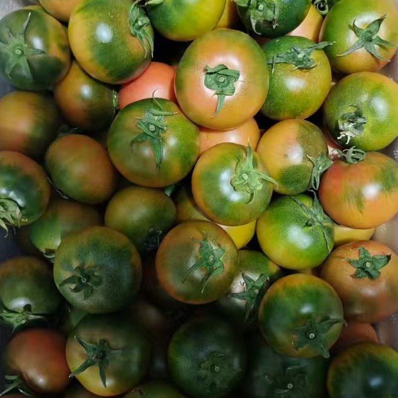 铁皮柿子草莓西红柿现摘现发基地直供大量现货支持档口电商