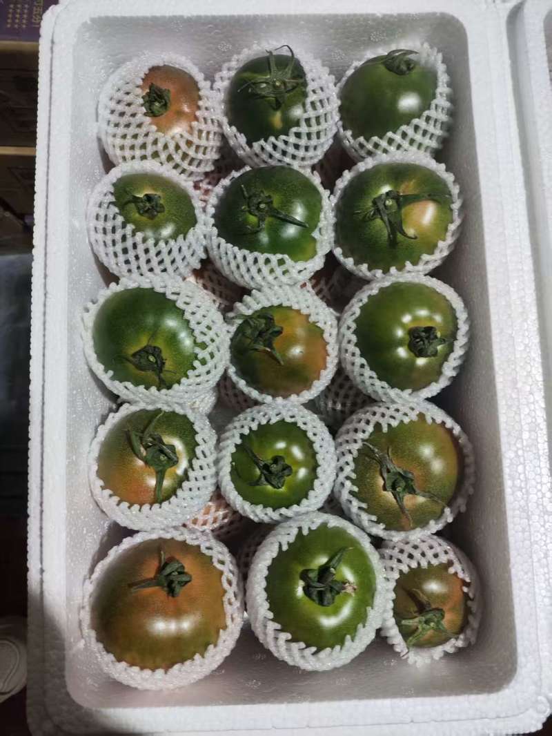 铁皮柿子草莓西红柿现摘现发基地直供大量现货支持档口电商