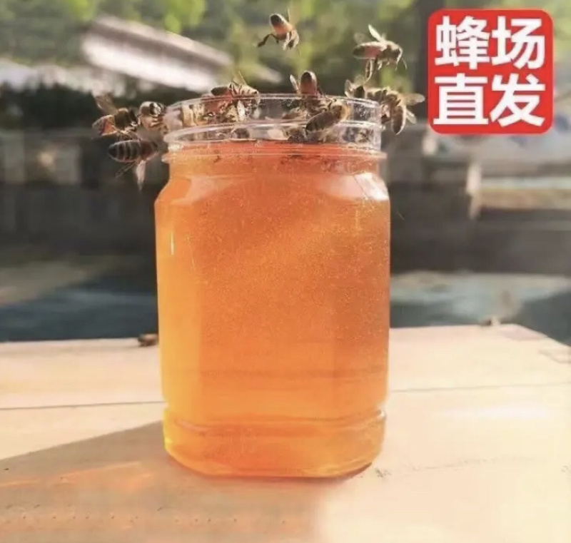 百花蜜产地直销价格优惠品质保证欢迎采购