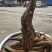野生葛根粉大量批发，高质量，传统工艺制作，无任何添加剂。