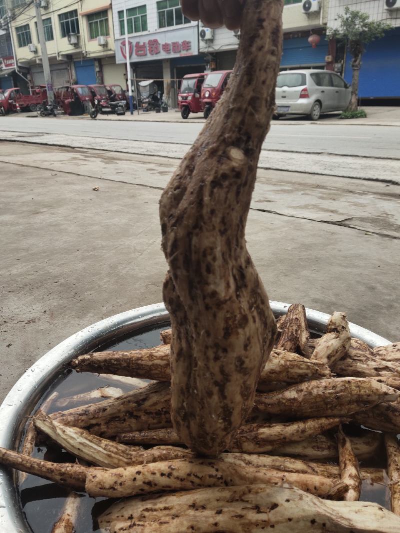 野生葛根粉大量批发，高质量，传统工艺制作，无任何添加剂。