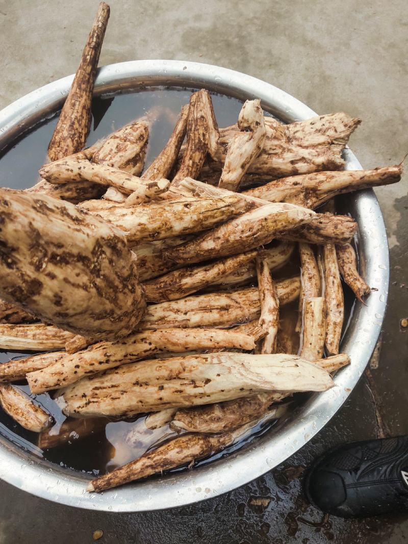 野生葛根粉大量批发，高质量，传统工艺制作，无任何添加剂。