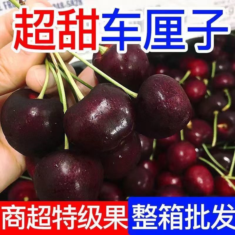 车厘子大樱桃一件代发拼多多淘宝抖音快手落地配