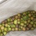 山茶油